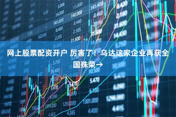 网上股票配资开户 厉害了！乌达这家企业再获全国殊荣→
