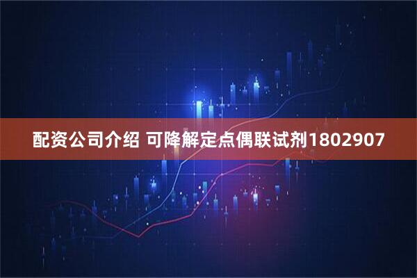 配资公司介绍 可降解定点偶联试剂1802907